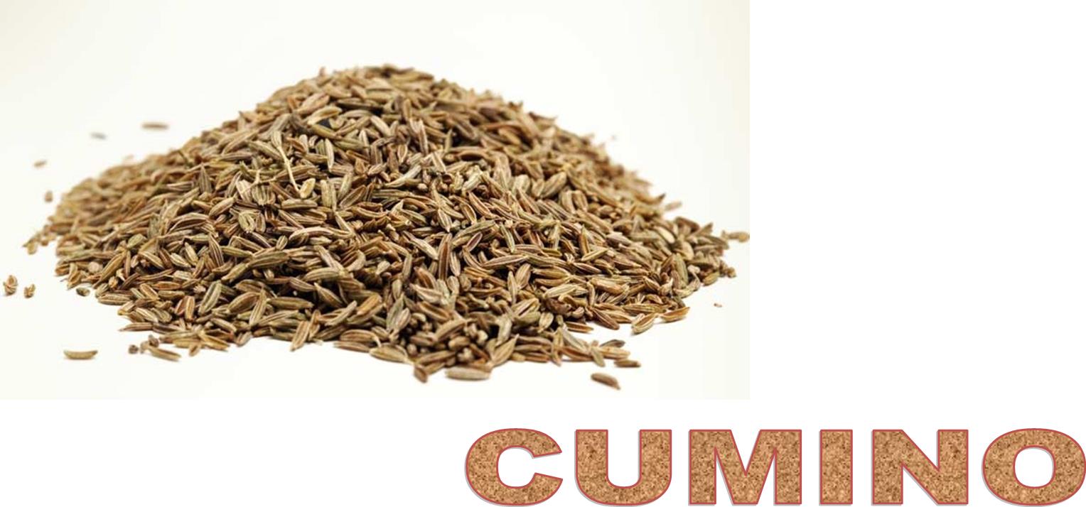 CUMINO